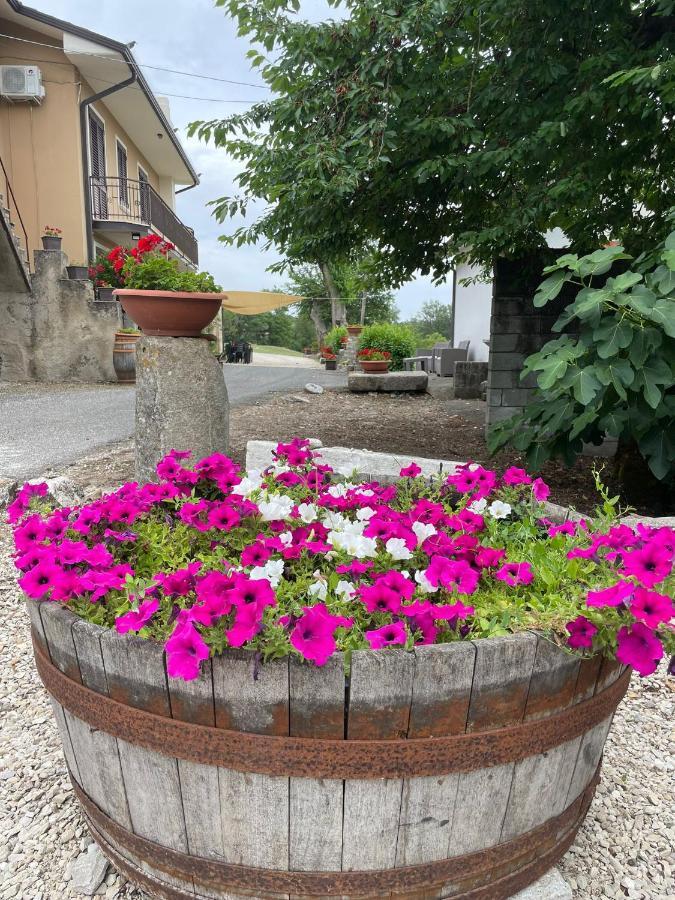B&B Relais Aeclanum Mirabella Eclano Exteriér fotografie